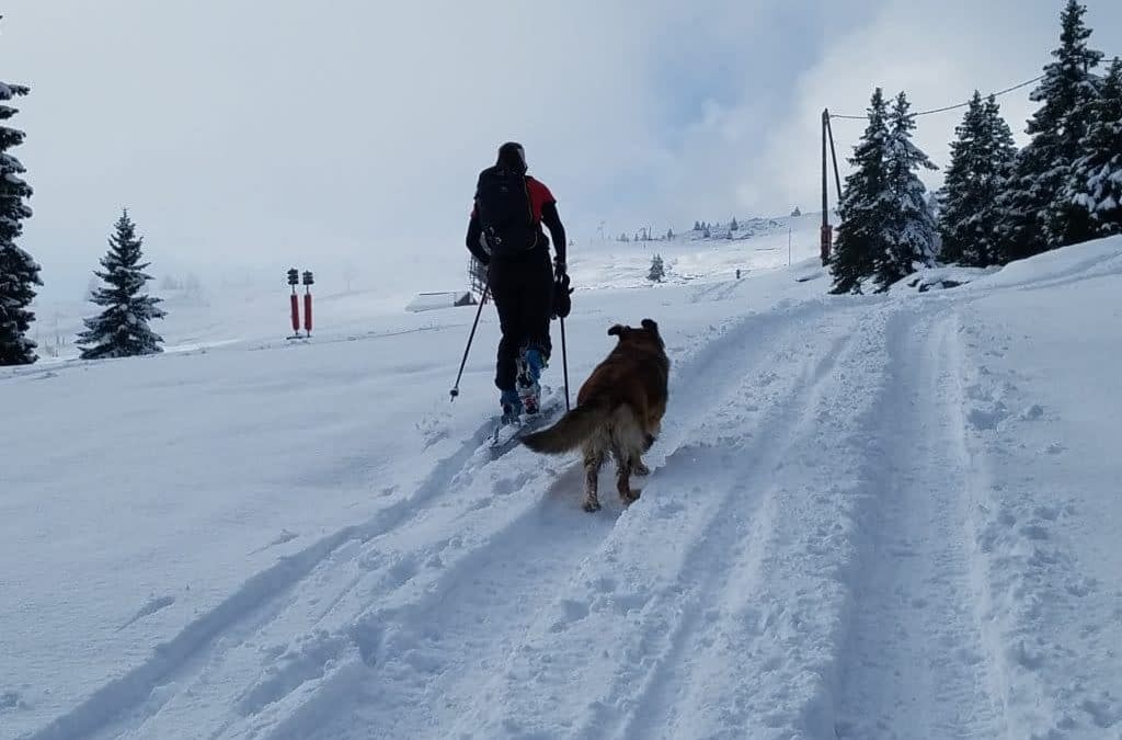 C’est reparti pour une nouvelle saison