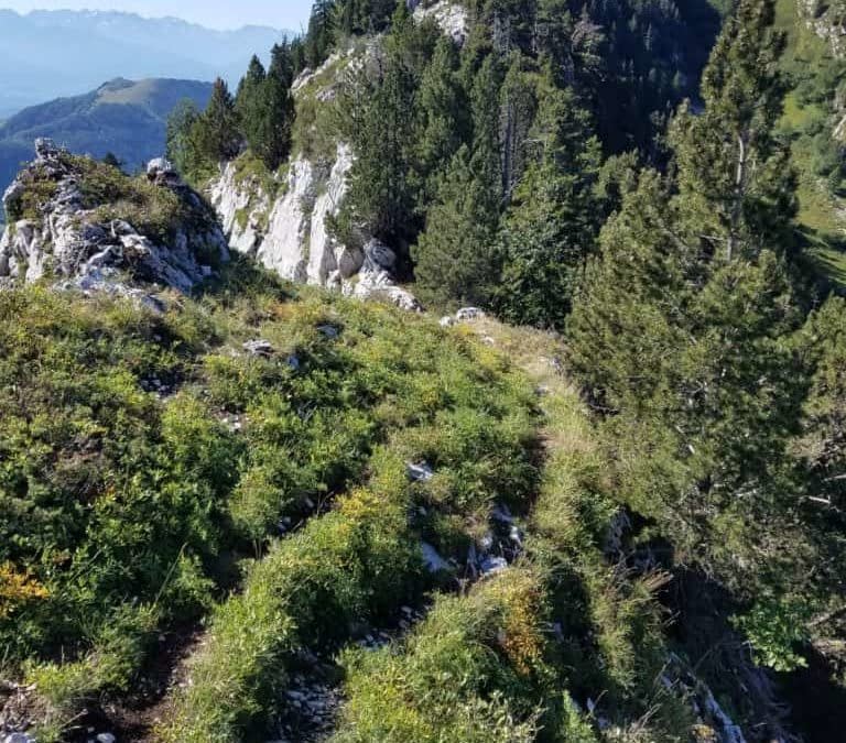 Randonnée à partir du gîte