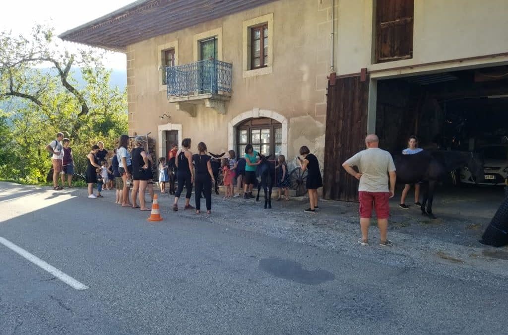 Les ânes ont toujours du succès